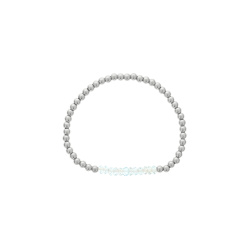 DBJ-BIR-SS1-12TPZ