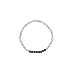 DBJ-BIR-SS1-9SP