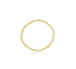 DBJ-BRC-1024CIT