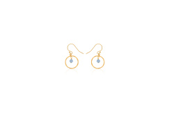 DBJ-EAR-3113AQ