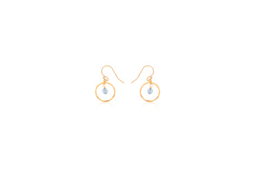 DBJ-EAR-3113BT